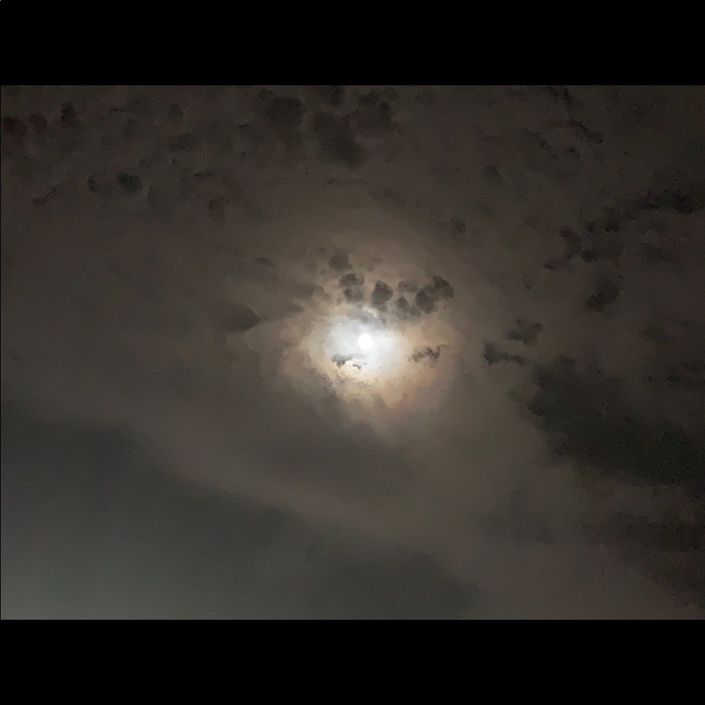 TAKING REASONABLE OFFERS on ALL ITEMS. 🌸🌸🌸